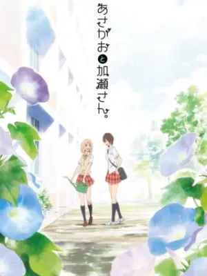 Kimi no Hikari: Asagao to Kase-san.