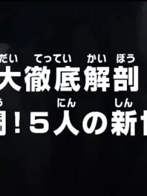 One Piece: Dai Tettei Kaibou! Gekitou! 5-nin no Shin Sedai