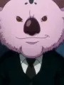 Portrait of character named Koala