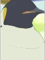 Portrait of character named Penguin