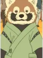 Portrait of character named Lesser Panda