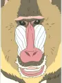 Portrait of character named Mandrill