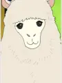 Portrait of character named Alpaca