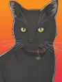 Portrait of character named Black Cat