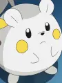 Portrait of character named Togedemaru