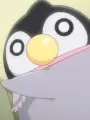 Portrait of character named Purin-chu Penguin