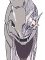 Portrait of character named Magatia