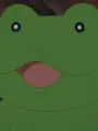 Portrait of character named Frog