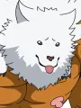 Portrait of character named Destroinu
