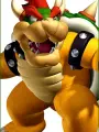 Portrait of character named Bowser