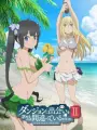 Poster depicting Dungeon ni Deai wo Motomeru no wa Machigatteiru Darou ka II OVA