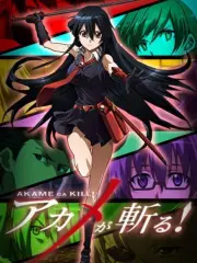 Poster depicting Akame ga Kill! Recap