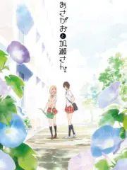 Poster depicting Kimi no Hikari: Asagao to Kase-san.