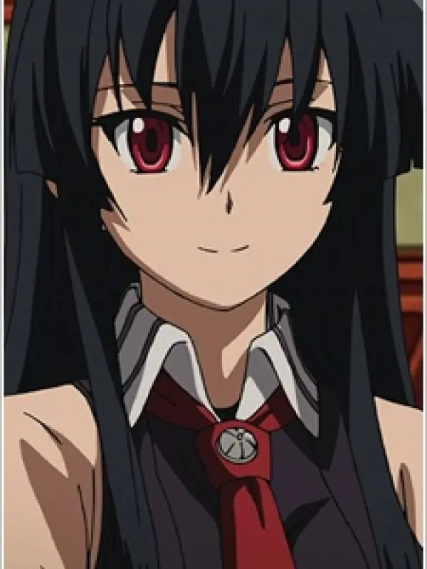 Portrait of character named  Akame