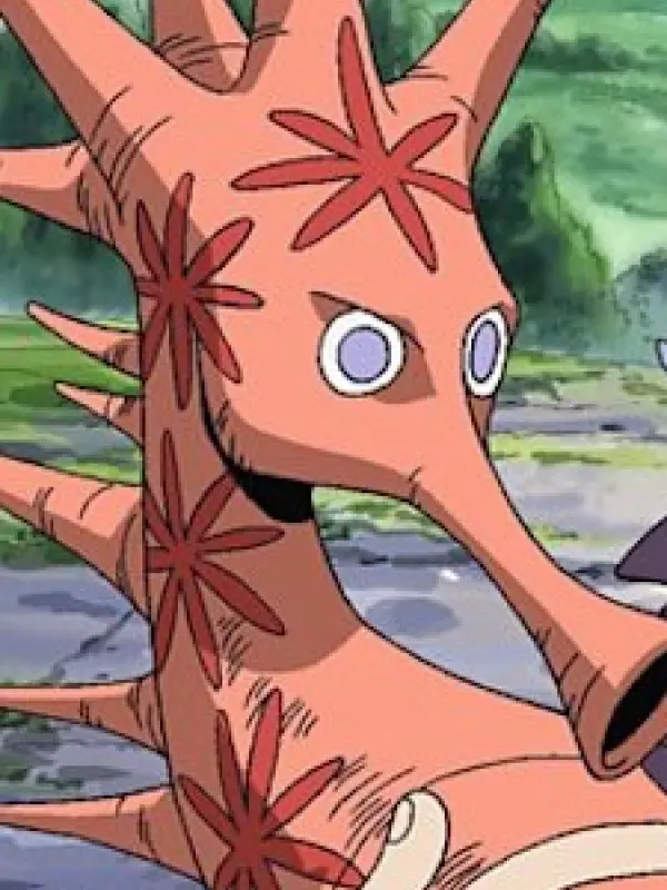 Portrait of character named  Noko