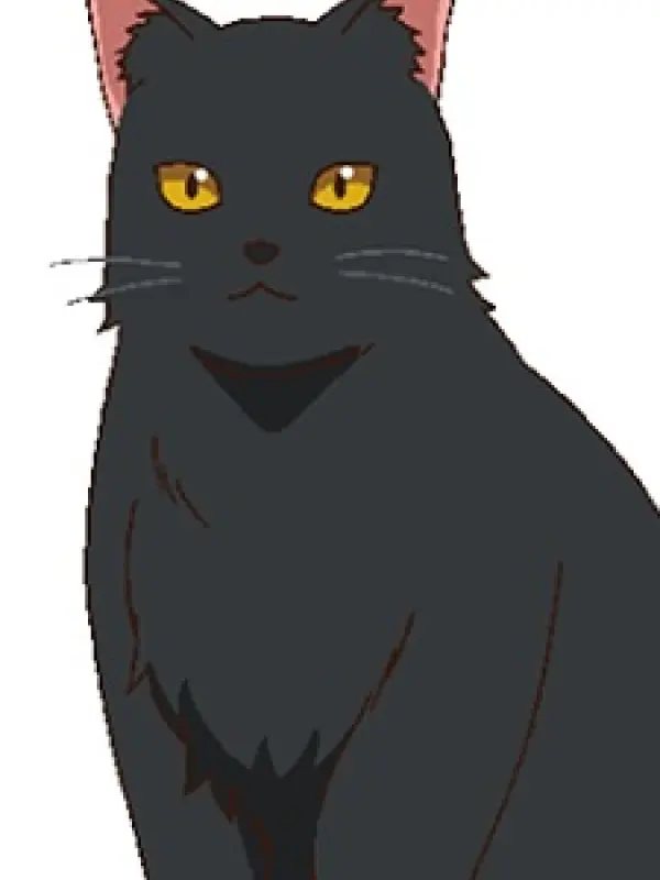 Portrait of character named  Anko-san