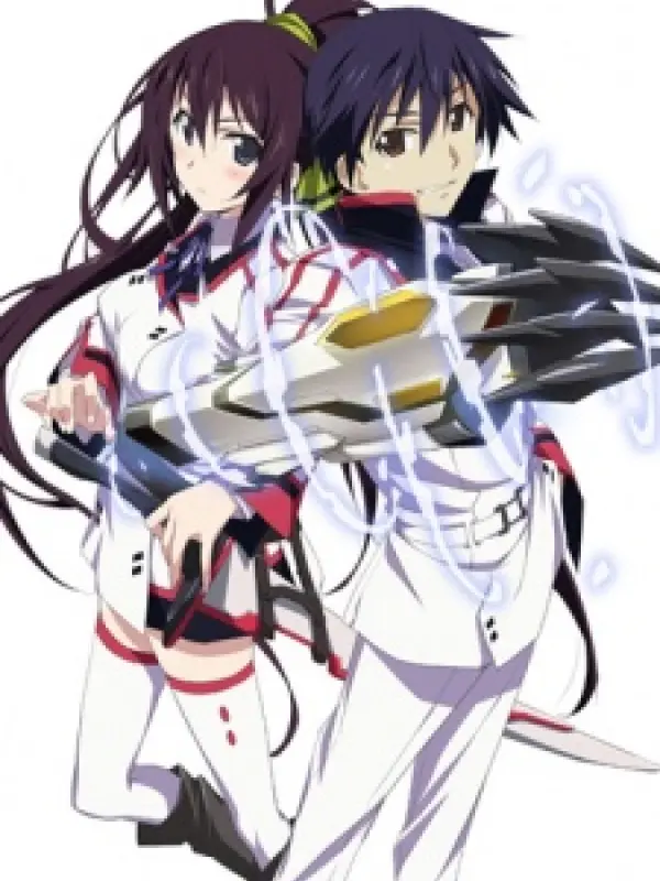 Poster depicting IS: Infinite Stratos